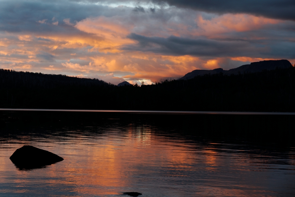 19 - Lake St Clair NP (27).jpg